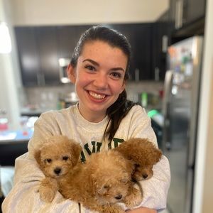 Meet your Posher, Annika